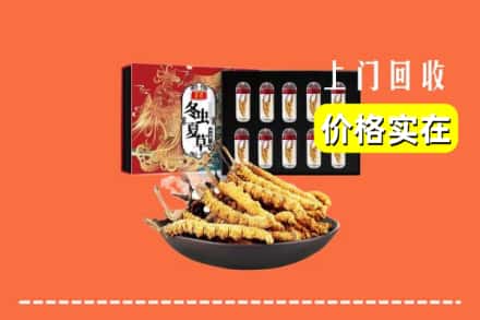 威海市乳山回收冬虫夏草